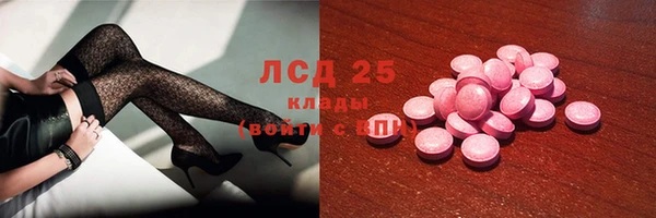 стафф Коряжма