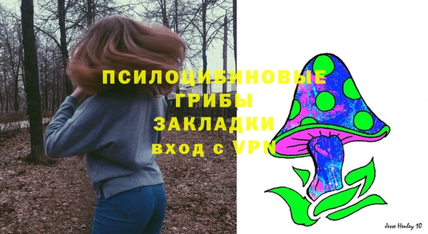 синтетический гашиш Костерёво