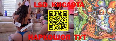 mdpv Камышлов