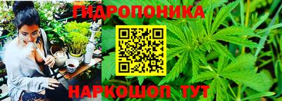mdpv Камышлов