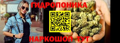 СК Кандалакша