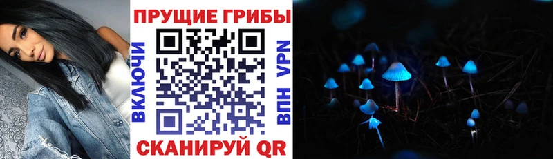 Псилоцибиновые грибы Psilocybe  наркота  Когалым 