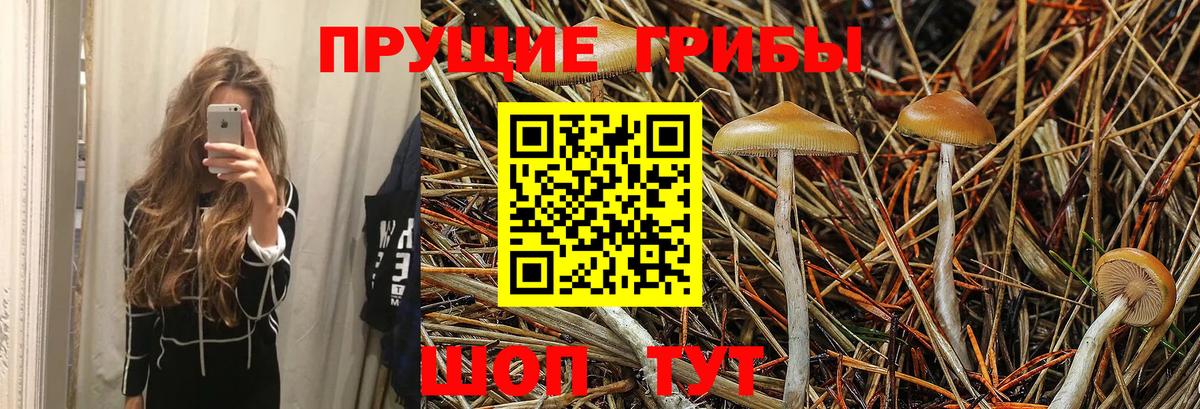 Псилоцибиновые грибы Magic Shrooms  Вход с VPN  Когалым 